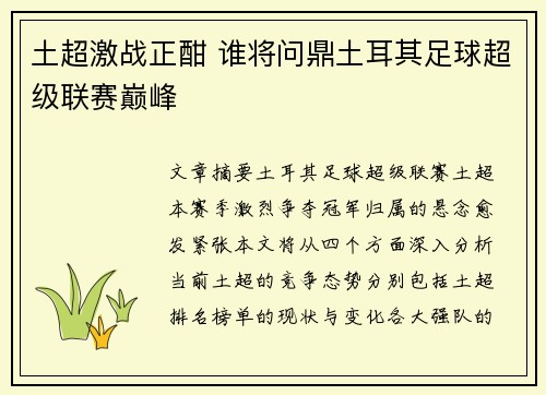 土超激战正酣 谁将问鼎土耳其足球超级联赛巅峰